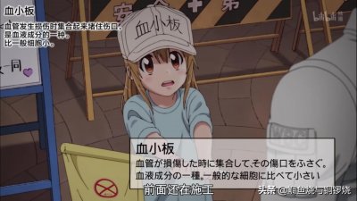 ​《工作细胞》学习笔记（四）-血小板