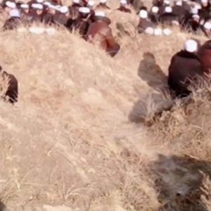 ​我国历史上最严重的十次大地震，你知道几个？