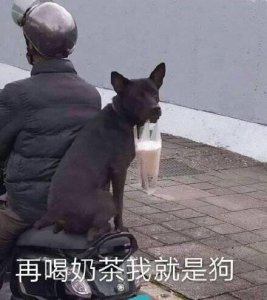 ​「推送」减肥的表情包合集