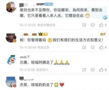 ​周杰泪悼琼瑶：深情回忆与母子般的情谊