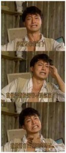 ​追忆琼瑶小生：影坛传奇与情感故事全揭秘