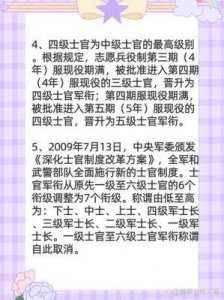 ​士官长揭秘：种类、选拔及权利详解