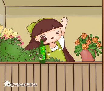 ​用啤酒养花能延长花期吗（啤酒能浇花吗）