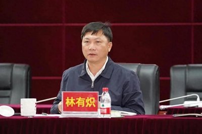 ​林有炽，政治问题和经济问题交织的腐败典型