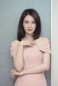 ​高圆圆个人资料，张钧甯是不是单身(张钧甯和高圆圆谁才是最美女神)