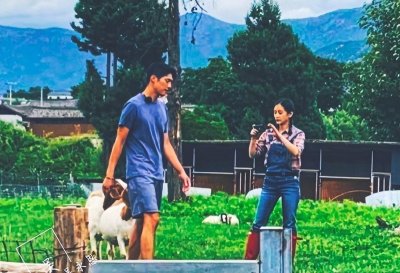 ​王子文的男朋友是谁（王子文被曝与男友领证）