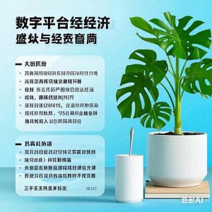 ​2025年十大暴利小生意：不起眼却月入过万的创业机会全解析