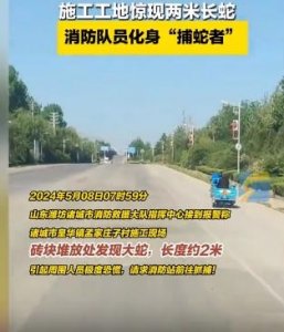 ​工地惊现2米长蛇 消防化身捕蛇达人将其捕获