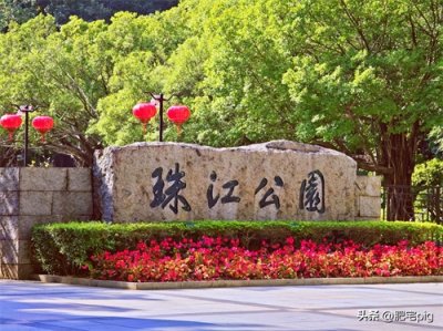 ​广州珠江公园应该怎么玩？露营、撸猫、带娃、赏花，这里有答案