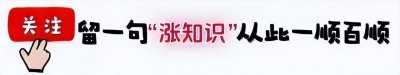 ​家里出现壁虎是福还是祸？家里有壁虎究竟暗示着什么寓意？