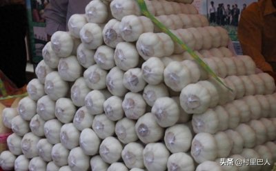 ​2019年大蒜价格走势分析