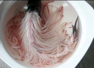​河北名菜：金毛狮子头