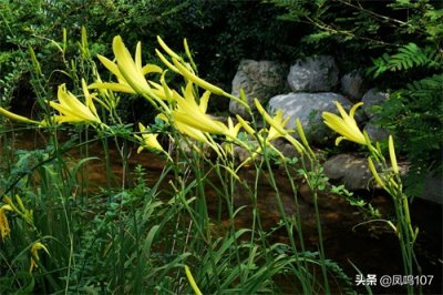 ​青州黄花溪