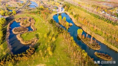 ​五彩斑斓绿水环绕 西安沣东湿地公园景色如画