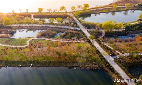 五彩斑斓绿水环绕 西安沣东湿地公园景色如画