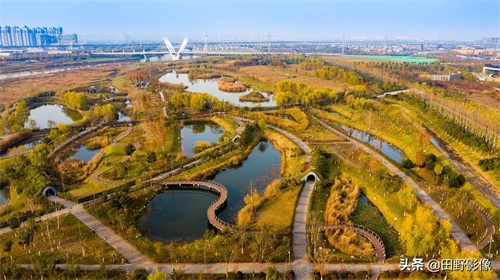 五彩斑斓绿水环绕 西安沣东湿地公园景色如画