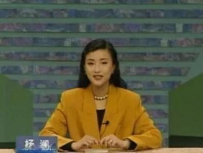 ​杨澜前男友张一兵（杨澜的成名史和三段情史）