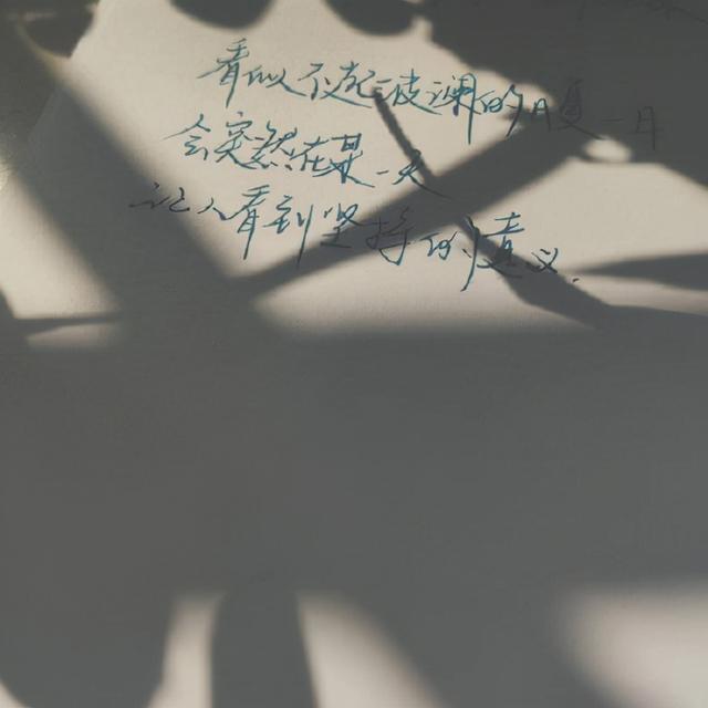 王源的写作的文字在哪里发表（王源写的文章登九年级语文试卷）(13)
