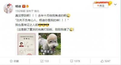 ​杨迪晒主持人资格证却忘打码 粉丝“假装没看见”