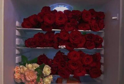​玫瑰花放冰箱可以保鲜吗，玫瑰花插在瓶子里都快谢了，有什么方法可以保存它呢