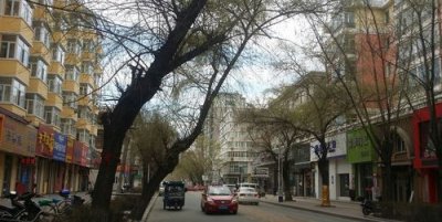 ​海林市美食一条街,打造美食一条街的建议