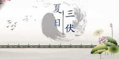 ​三伏天养生三窍门