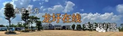 ​龙圩区组织观看爱国主义影片《龙窑》