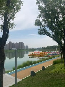 ​“安静”的长安公园