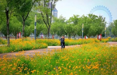 ​渤海眼摩天轮夏日“最惠”来袭！夜场即将开放！