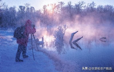 ​农村俗话：公九冻死牛，母九人不愁，啥意思？今年是什么九？