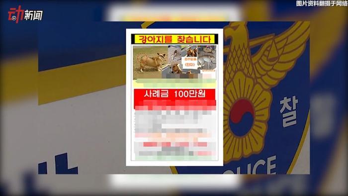 她悬赏100万韩元找柯基！却被邻居大叔吃掉了…