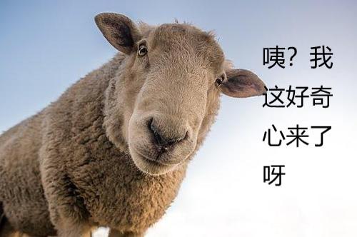 生活中的一些科普小知识（解密那些困扰你多年的生活现象）(1)