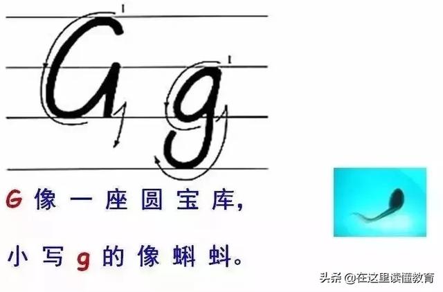 24个英文字母正确规范的书写（26个英文字母规范书写技巧）(8)