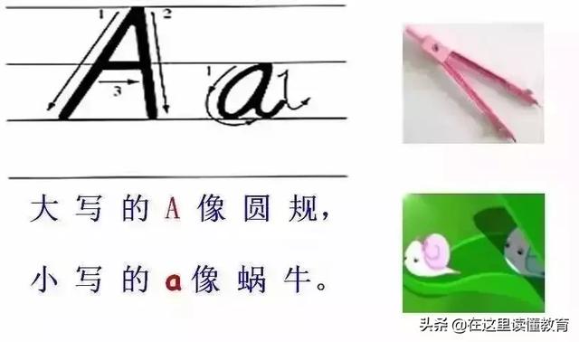 24个英文字母正确规范的书写（26个英文字母规范书写技巧）(2)