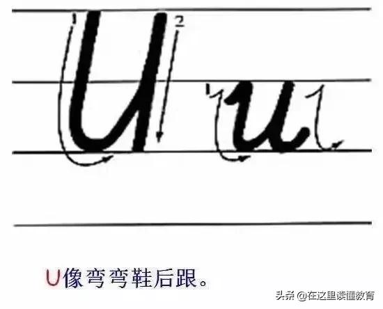 24个英文字母正确规范的书写（26个英文字母规范书写技巧）(22)