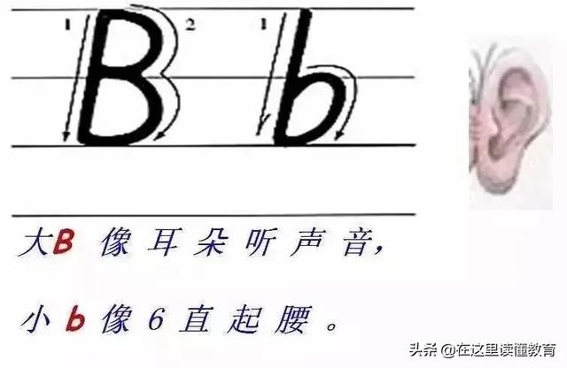 24个英文字母正确规范的书写（26个英文字母规范书写技巧）(3)