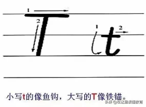 24个英文字母正确规范的书写（26个英文字母规范书写技巧）(21)
