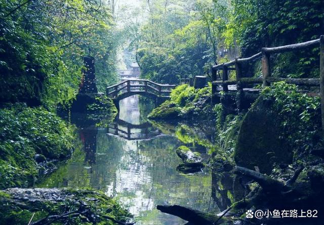 第三天：青城山—青城山—三国城