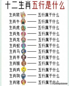 ​十二生肖五行一览表，对照一下，你属于哪一种，看完涨知识了。
