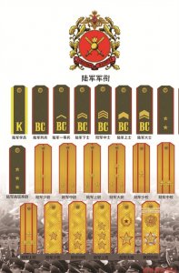 请欣赏!俄罗斯陆军军衔标志