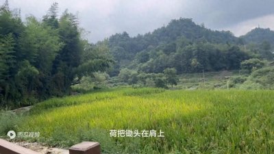 ​一首好听的台湾民谣《乡间小路》歌声给人感觉吻到了乡间的气息