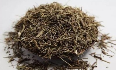 ​香薷泡水喝可以治疗口臭吗 香薷的功效与作用详情介绍