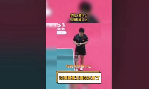 许昕欲吹又止樊振东欲摸又止 蟒胖我忍住了我摸我自己