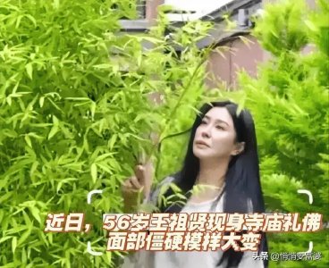 ​王祖贤整容后变成了什么鬼？网友惊呼“丑爆了”！