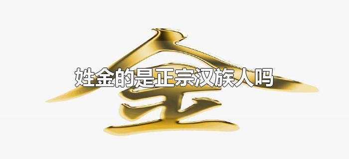 姓金的是正宗汉族人吗 姓金的是正宗汉族人吗