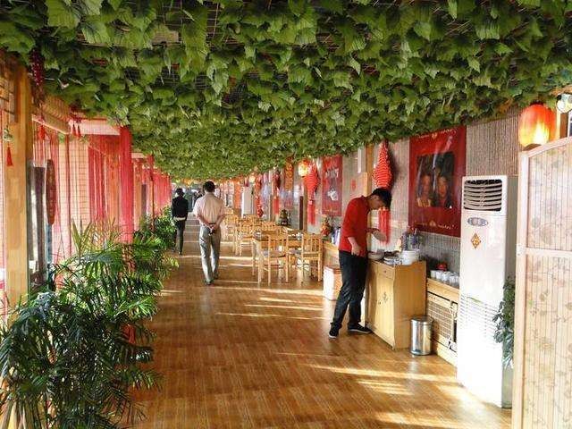 毕福剑说错话(毕福剑开餐馆当老板年入百万)