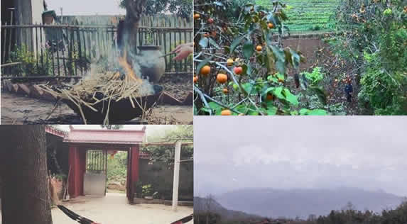 李子柒家的院子全景图有多大 引起很多人羡慕