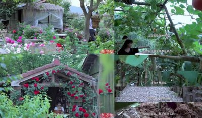 ​李子柒家的院子全景图有多大 引起很多人羡慕