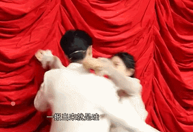 谢娜与张杰个人简介(网曝谢娜出轨肖战并怀孕)(3)