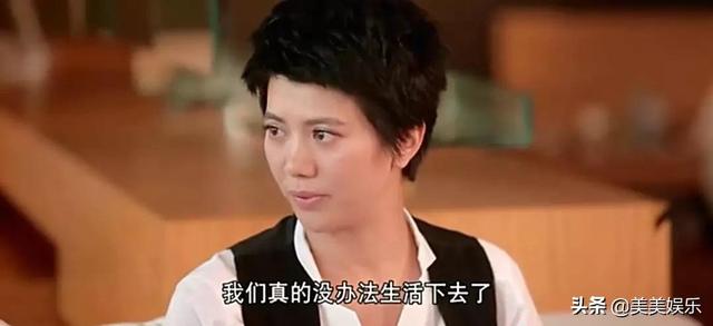 谢娜与张杰个人简介(网曝谢娜出轨肖战并怀孕)(13)